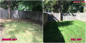 Picture Perfect Lawn Maintenance | 804-530-2540 | Before and After | best lawn care professional company organic fertilization aeration seeding Virginia Beach Norfolk