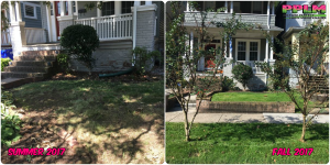Picture Perfect Lawn Maintenance | 804-530-2540 | Before and After | best full service lawn care professional company organic fertilization aeration seeding mowing pruning Virginia Beach Norfolk