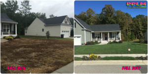 Picture Perfect Lawn Maintenance | 804-530-2540 | Before and After | quality fertilization aeration seeding service Chester VA