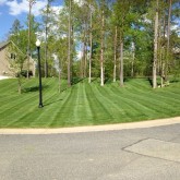 Mowing and Fertilizer by Picture Perfect Lawn Maintenance Chesterfield VA (804) 530-2540