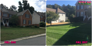 Picture Perfect Lawn Maintenance | 804-530-2540 | Before and After | grass improvement lawn care aeration seeding fertilization Virginia