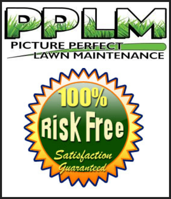 Chesdin Landing Lawn Care Landscape Maintenance by Picture Perfect Lawn Maintenance | (804) 530-2540 Chesdin Landing Lawn Care Landscape Maintenance by Picture Perfect Lawn Maintenance | (804) 530-2540