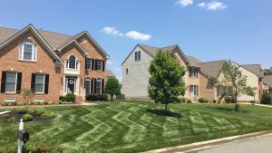 Summerford Lawn Aeration Seeding Fertilization by Picture Perfect Lawn Maintenance | (804) 530-2540