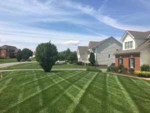 Harpers Mill Lawn Aeration Seeding Fertilization by Picture Perfect Lawn Maintenance | (804) 530-2540 | Quality Commercial and Residential Lawn Care