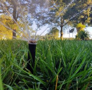 Magnolia Green Lawn Aeration Seeding Fertilization by Picture Perfect Lawn Maintenance (804) 530-2540