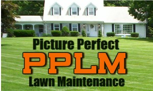 PPLM_New_Logo_House_BG