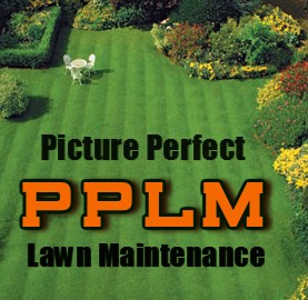 PPLM_Photo_Logo