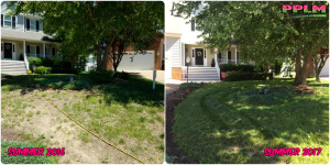 Picture Perfect Lawn Maintenance | 804-530-2540 | Before and After | corrective professional organic fertilization program Chesterfield VA