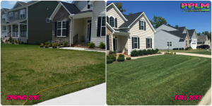 Picture Perfect Lawn Maintenance | 804-530-2540 | Before and After | full service lawn improvement fertilizer mowing Chesterfield VA
