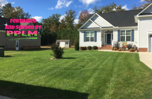 Broadmoor Park Lawn Care Aeration Seeding Fertilization | Picture Perfect Lawn Maintenance | (804) 530-2540