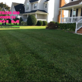 Picture Perfect Lawn Maintenance | 804-530-2540 | best yard service fertilizer mowing professional company Chesterfield VA