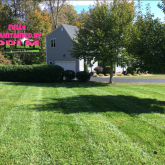 Picture Perfect Lawn Maintenance | 804-530-2540 | best mowing pruning mulching fertilizer Midlothian VA