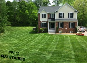 Hampton Farms Lawn Aeration Seeding Fertilization by Picture Perfect Lawn Maintenance (804) 530-2540
