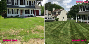Picture Perfect Lawn Maintenance | 804-530-2540 | Before and After | healthy thick turf fertilization service Richmond VA