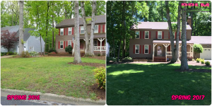 Picture Perfect Lawn Maintenance | 804-530-2540 | Before and After | good yard service fertilizer company Chesterfield VA