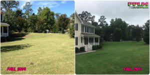 Picture Perfect Lawn Maintenance | 804-530-2540 | Before and After | quality yard service aeration seeding fertilization difference Chesterfield VA