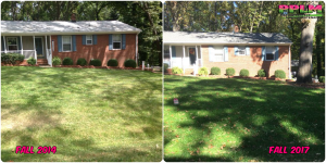 Picture Perfect Lawn Maintenance | 804-530-2540 | Before and After | best landscape maintenance lawn care Richmond VA