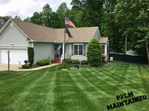 Magnolia Green Lawn Aeration Seeding Fertilization by Picture Perfect Lawn Maintenance (804) 530-2540