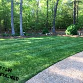 Picture Perfect Lawn Maintenance | 804-530-2540 | healthy lawn organic customized fertilizer program professional mowing Prince George VA