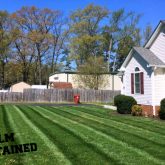 Picture Perfect Lawn Maintenance | 804-530-2540 | best full service landscape care mowing pruning mulching fertilization aeration seeding Richmond VA