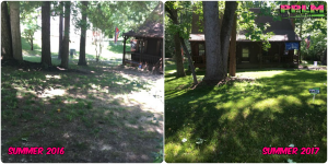 Picture Perfect Lawn Maintenance | 804-530-2540 | Before and After | professional shade fescue seeding fertilizing Chester VA