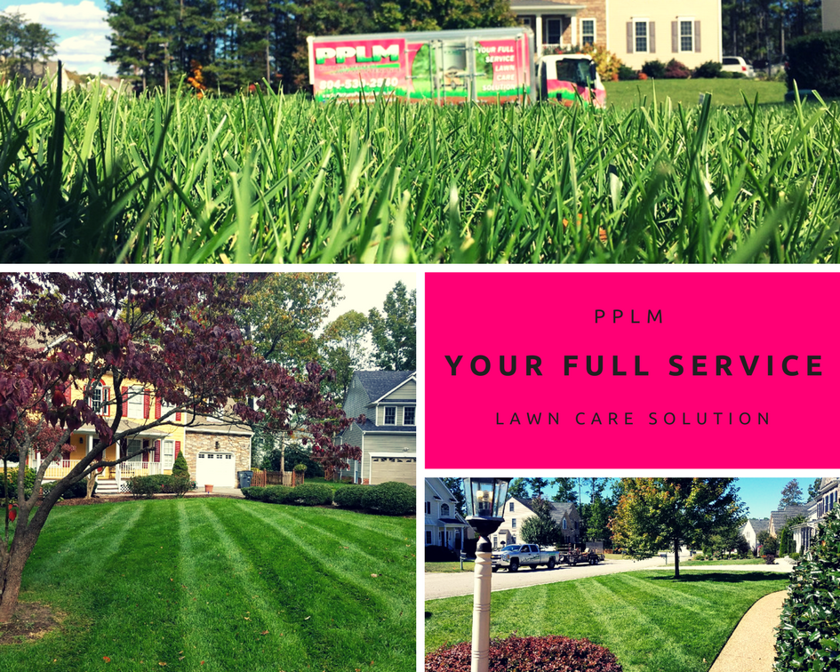 A home that received our lawn service in Chesterfield, VA