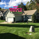 Picture Perfect Lawn Maintenance | 804-530-2540 | full service lawn care mowing fertilizer pruning mulching Chester VA