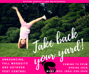 Picture Perfect Lawn Maintenance | 804-530-2540 | outdoor pest control mosquitoes fleas ticks yard treatment Richmond VA Picture Perfect Lawn Maintenance | 804-530-2540 | outdoor pest control mosquitoes fleas ticks yard treatment Richmond VA