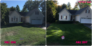 Picture Perfect Lawn Maintenance | 804-530-2540 | Before and After | best quality organic customized soil health fertilizer service Chesterfield VA