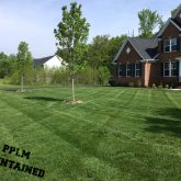 Picture Perfect Lawn Maintenance | 804-530-2540 | beautiful yard care fertilizer mowing Moseley VA
