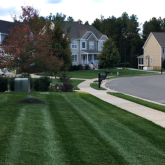 Picture Perfect Lawn Maintenance | 804-530-2540 | best landscape maintenance fertilization mowing stripes professional Richmond VA
