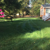 Picture Perfect Lawn Maintenance | 804-530-2540 | professional fertilization seeding program lawn Chesterfield VA