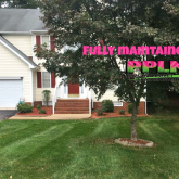 Picture Perfect Lawn Maintenance | 804-530-2540 | complete coverage lawn care mulch prune mow fertilize Chesterfield Virginia