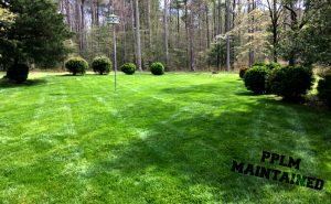 Bayhill Pointe Lawn Aeration Seeding Fertilization by Picture Perfect Lawn Maintenance | Chesterfield County | (804) 530-2540