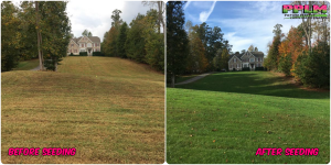 Picture Perfect Lawn Maintenance | 804-530-2540 | Before and After | full service lawn care solution green lawn healthy fertilizer aeration seeding Chesdin Landing Chesterfield VA