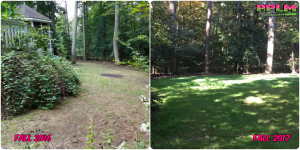 Picture Perfect Lawn Maintenance | 804-530-2540 | Before and After | healthy thick fescue yard fertilization aeration seeding company Chesterfield VA