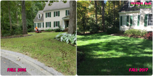 Picture Perfect Lawn Maintenance | 804-530-2540 | Before and After | grass rehab fescue yard fertilization aeration seeding success Chesterfield VA
