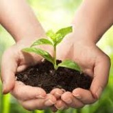 Chesterfield VA Landscaping | Picture Perfect Lawn Maintenance | (804) 530-2540 