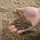 Summerford Lawn Aeration Seeding Fertilization by Picture Perfect Lawn Maintenance | (804) 530-2540