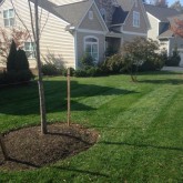 Mowing Fertilizer and Mulching by Picture Perfect Lawn Maintenance Chesterfield VA (804) 530-2540