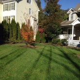 Mowing and Fertilizer by Picture Perfect Lawn Maintenance Chesterfield VA (804) 530-2540
