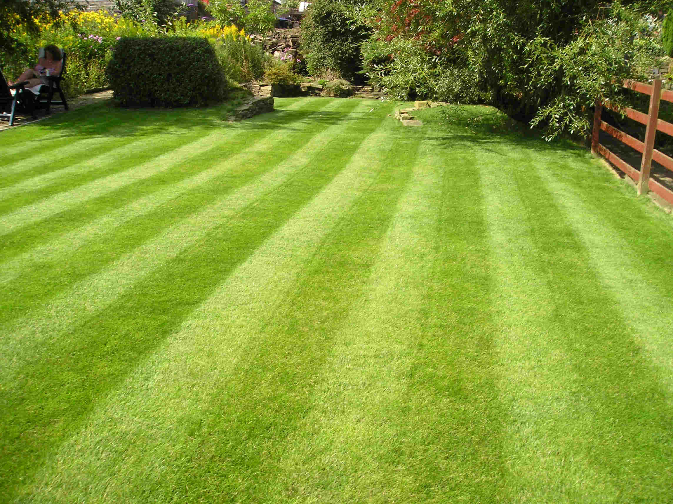 Virginia Lawn Care Aeration and Seeding Fertilization | Picture Perfect Lawn Maintenance | (804) 530-2540