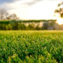 Chesterfield VA Aeration and Overseeding Service
