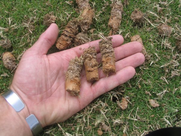Virginia Lawn Care Aeration and Seeding Fertilization | Picture Perfect Lawn Maintenance | (804) 530-2540