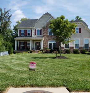 Grass Seeding in September } Lawn Care | Fertilization | Picture Perfect Lawn Maintenance | (804) 530-2540 Grass Seeding in September } Lawn Care | Fertilization | Picture Perfect Lawn Maintenance | (804) 530-2540