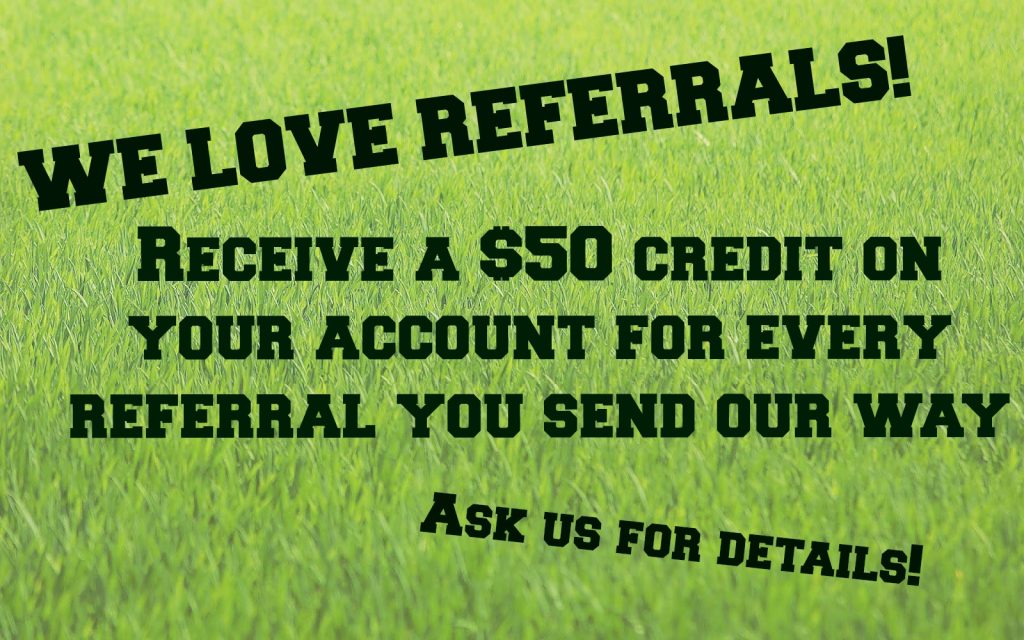 Fertilized By PPLM | (804)530-2540 | Green Lawns In VA