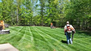 Fertilized By PPLM | (804)530-2540 | Green Lawns In VA