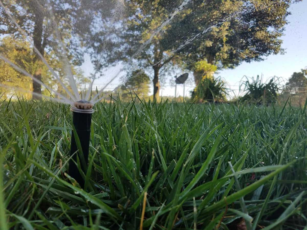 Fall aeration and seeding | How to Prep Your Yard for Core Aeration and Seeding this Fall in 3 Easy Steps } Lawn Care | Fertilization | Picture Perfect Lawn Maintenance | (804) 530-2540 Fall aeration and seeding | How to Prep Your Yard for Core Aeration and Seeding this Fall in 3 Easy Steps } Lawn Care | Fertilization | Picture Perfect Lawn Maintenance | (804) 530-2540