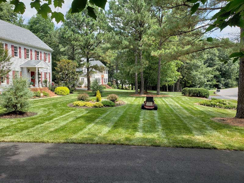 How to Take Care of Your Newly Seeded Fescue Lawn after Aeration and Seeding | Lawn Care | Fertilization | Picture Perfect Lawn Maintenance | (804) 530-2540 How to Take Care of Your Newly Seeded Fescue Lawn after Aeration and Seeding | Lawn Care | Fertilization | Picture Perfect Lawn Maintenance | (804) 530-2540