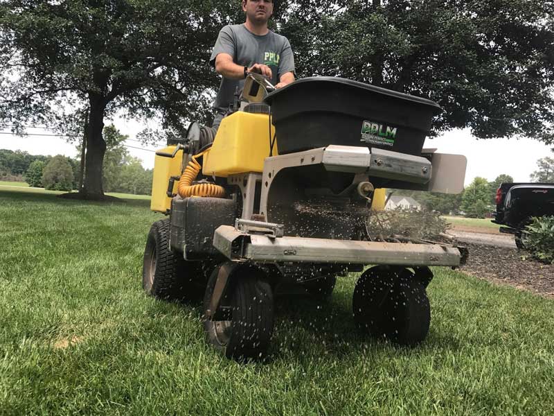 How to Take Care of Your Newly Seeded Fescue Lawn after Aeration and Seeding | Lawn Care | Fertilization | Picture Perfect Lawn Maintenance | (804) 530-2540 How to Take Care of Your Newly Seeded Fescue Lawn after Aeration and Seeding | Lawn Care | Fertilization | Picture Perfect Lawn Maintenance | (804) 530-2540